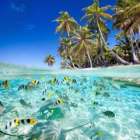 Магия Сейшельских островов